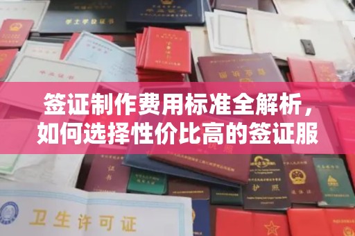 蓬溪签证制作费用标准全解析，如何选择性价比高的签证服务？